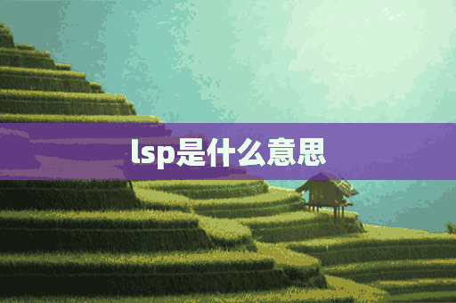 lsp是什么意思(lsp是什么意思网络缩写)